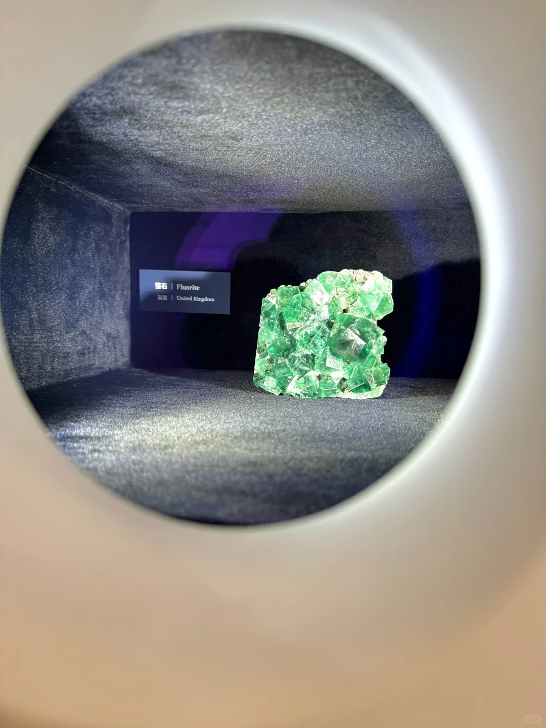 厉害的珠宝都在这儿了！