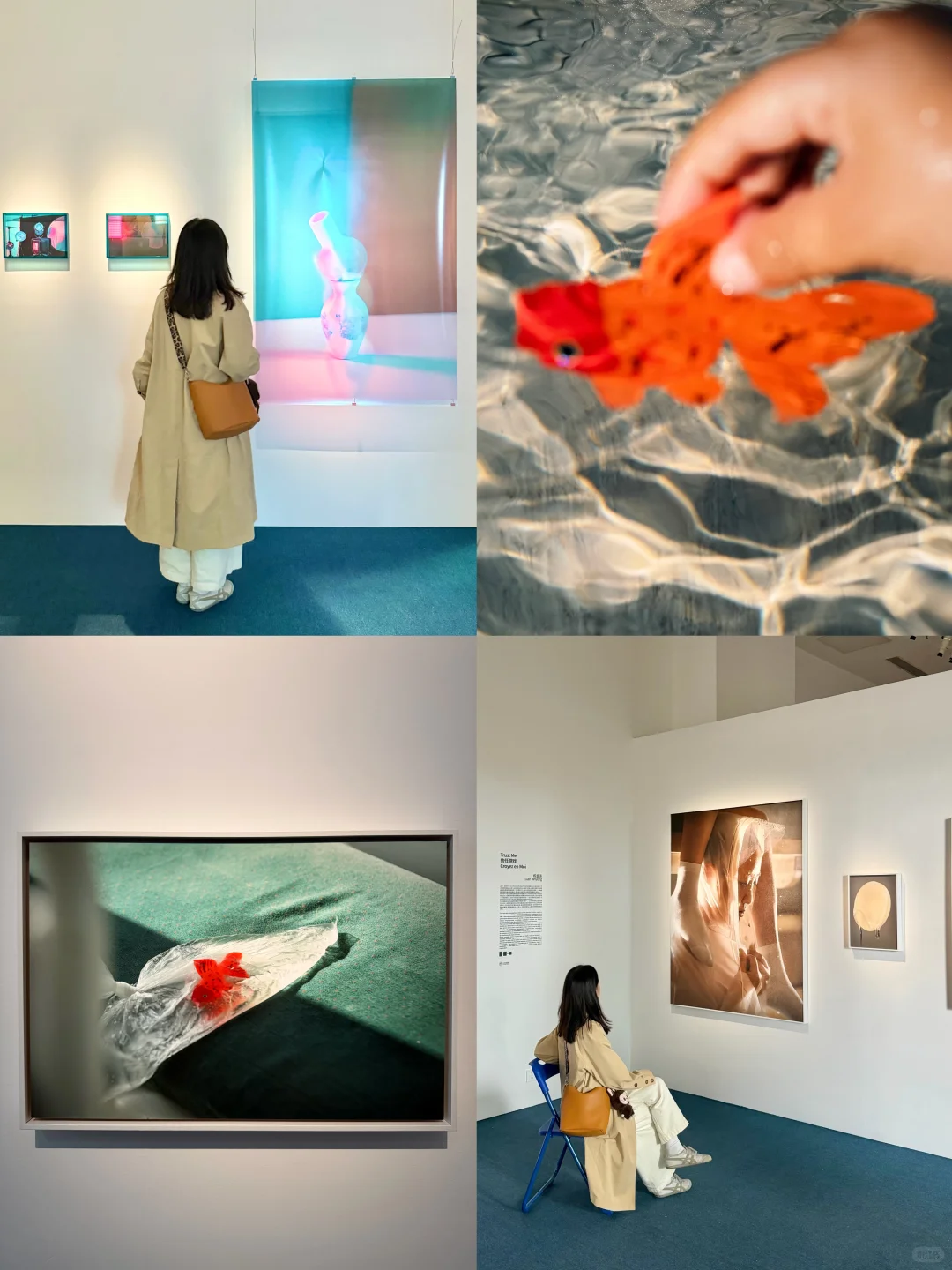 成都近期值得看的高品质摄影展。。。?