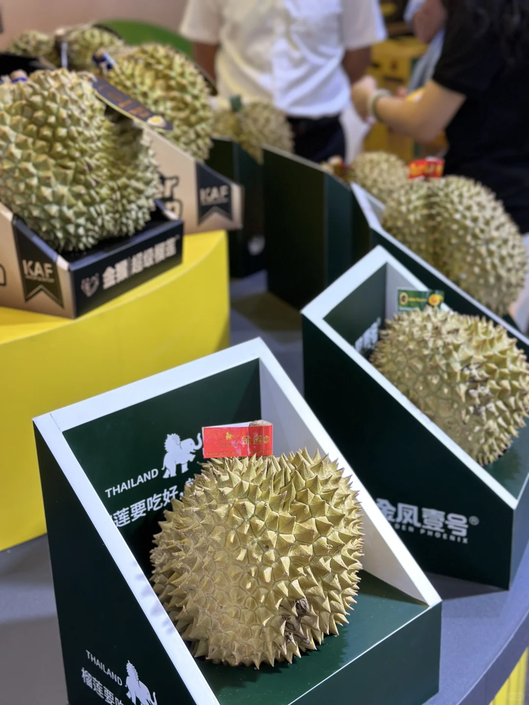 上海全食展、水果展全部分攻略