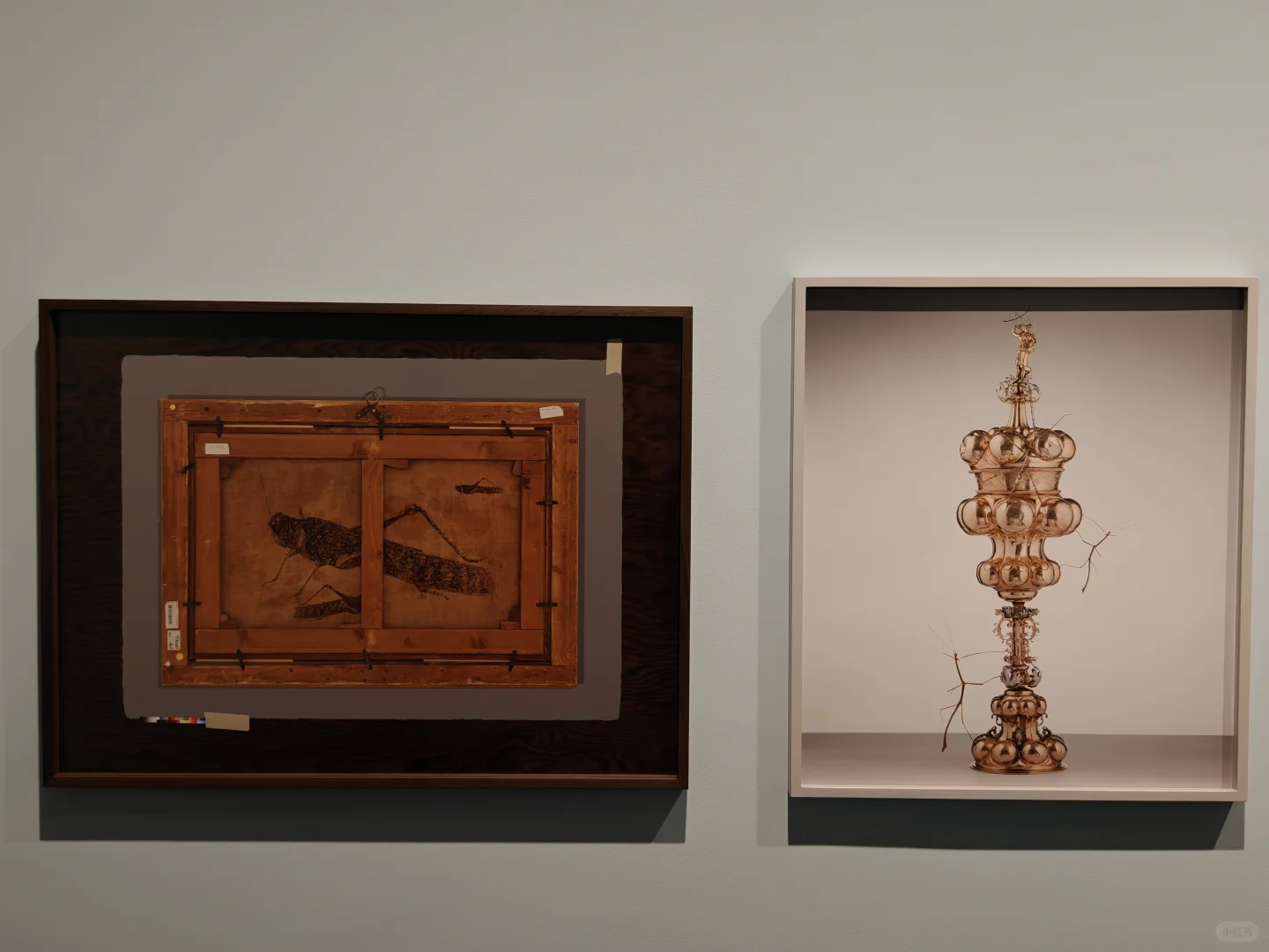 去双年展与同频的人共赴一场花开有声的约会