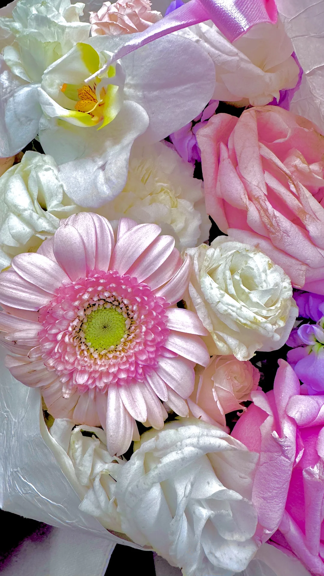 入选 2025 ·第二届写意画作品展啦✌️