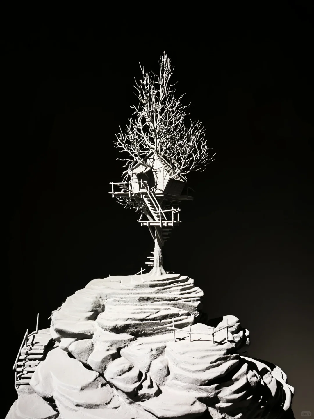 798逛展攻略|免费逛一天超治愈?️~