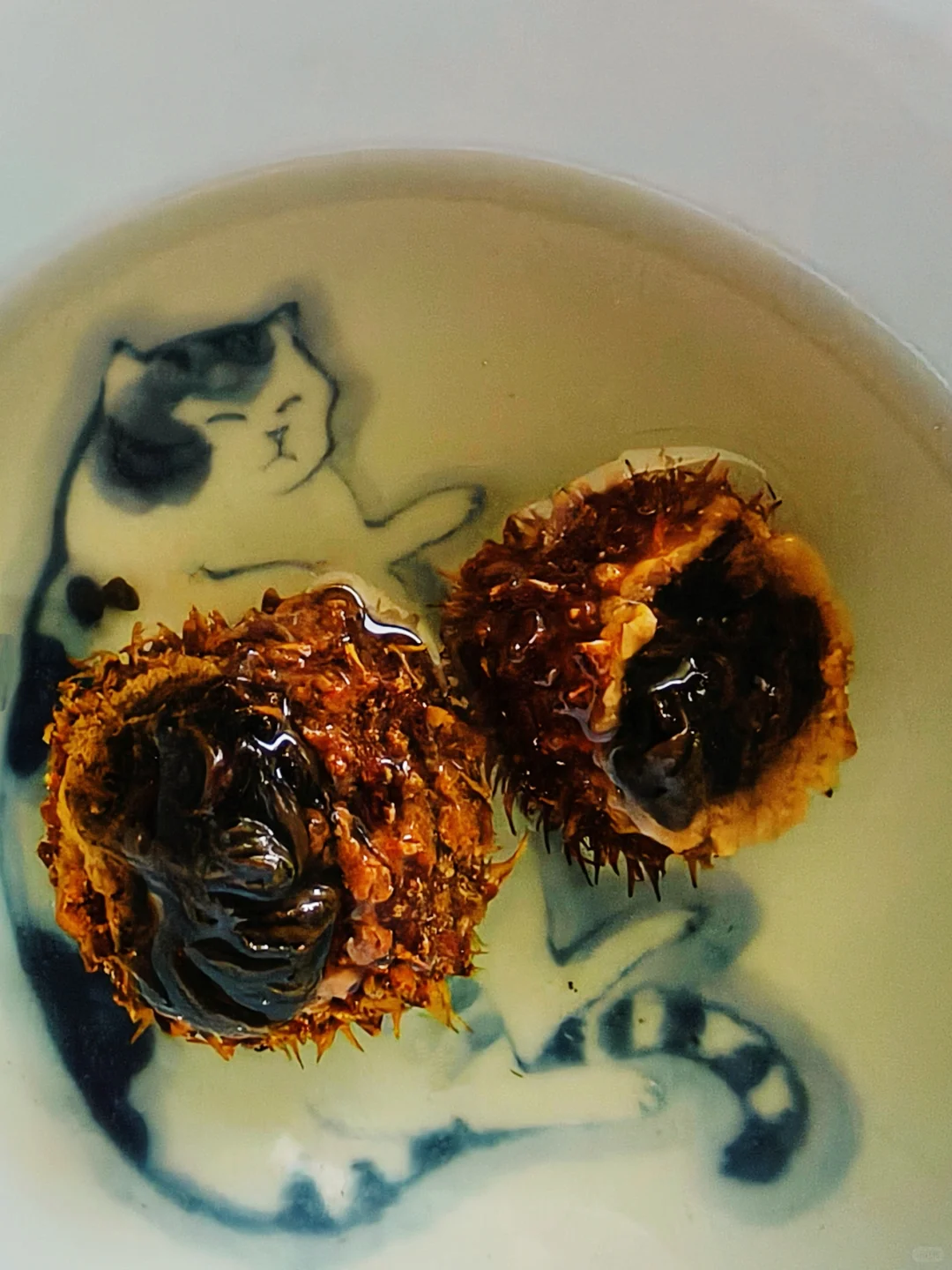 喝茶不迷路，去南宁茶博会就够啦