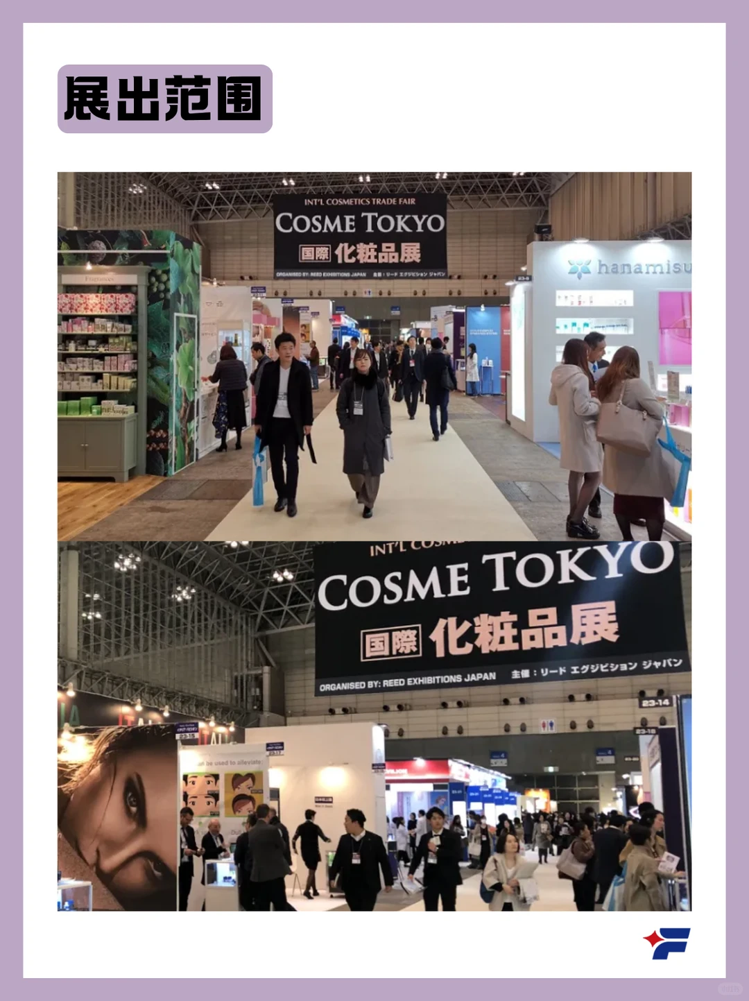 美妆人的年度盛会！东京COSME展品运输指南