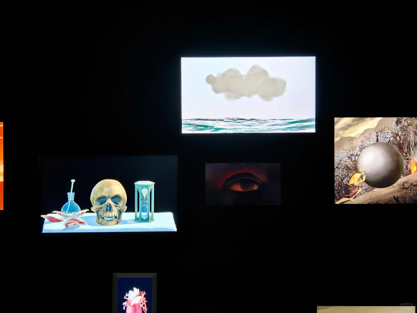 去双年展与同频的人共赴一场花开有声的约会