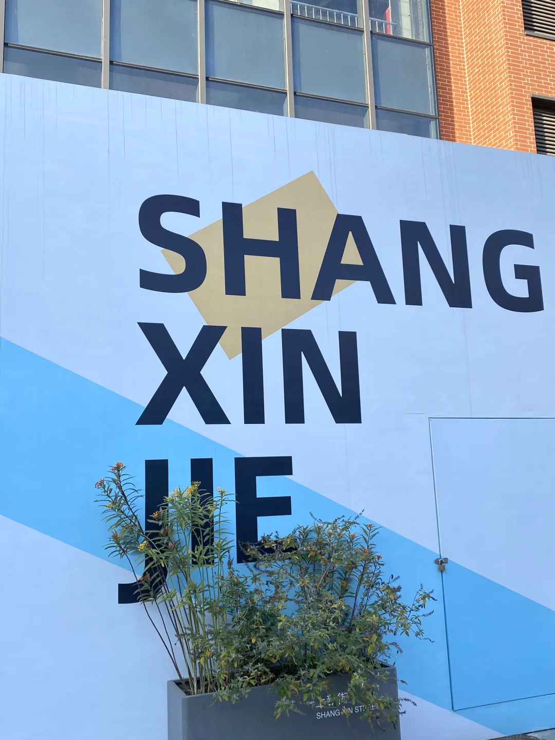 橘月游荡集｜济南快闪展｜抽象艺术