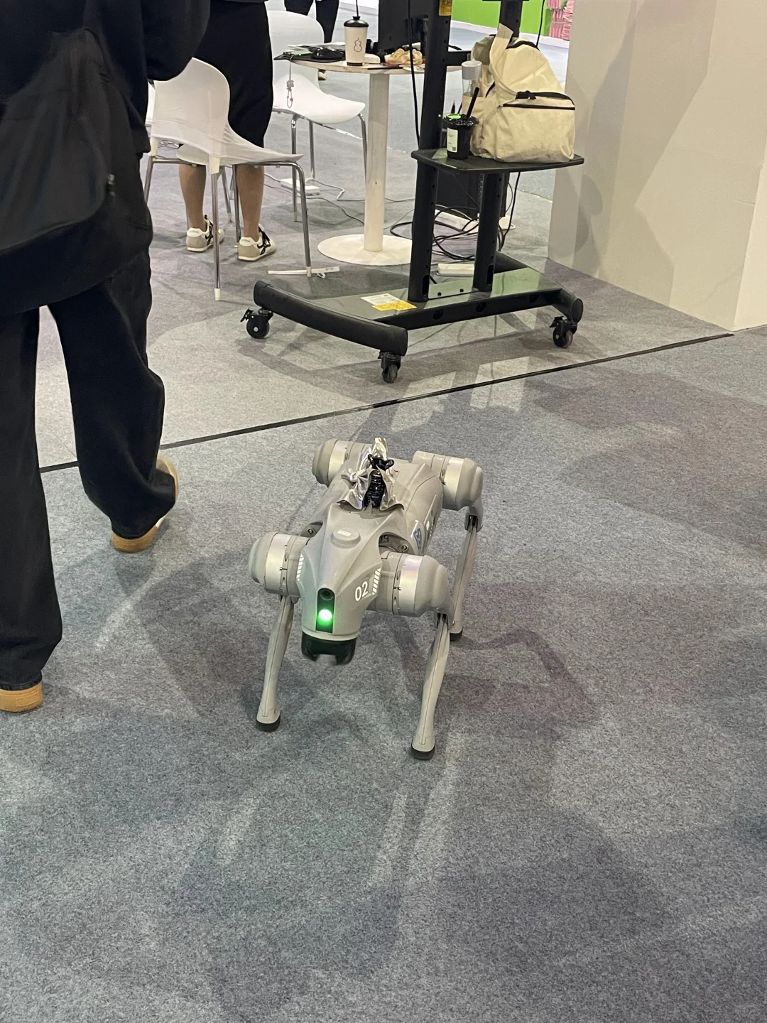 研究生义乌创业| 世界小商品义乌的跨境来啦