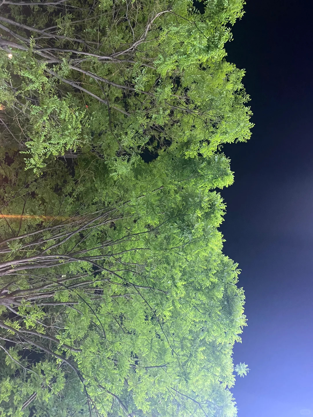 Plog?｜受邀爱奇艺招商会