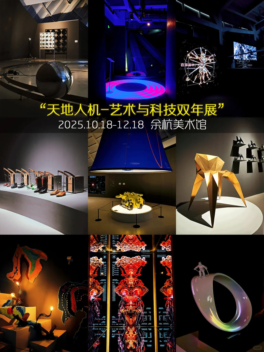 杭州11月免费展杀疯了❤️99个承包整月快乐