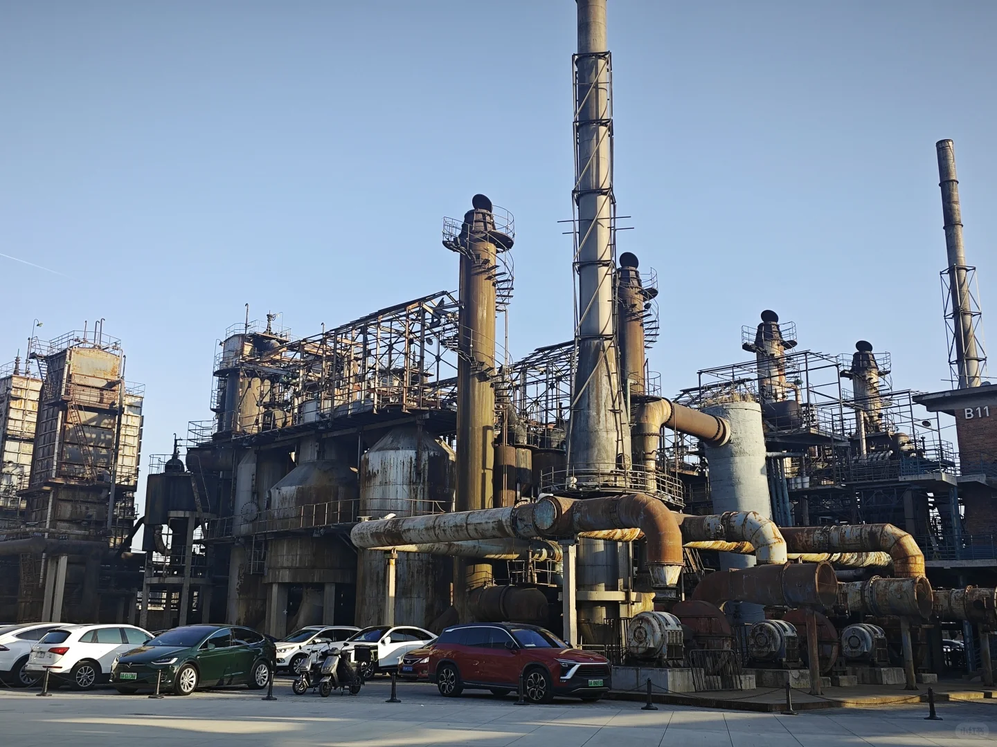 798逛展攻略|免费逛一天超治愈?️~