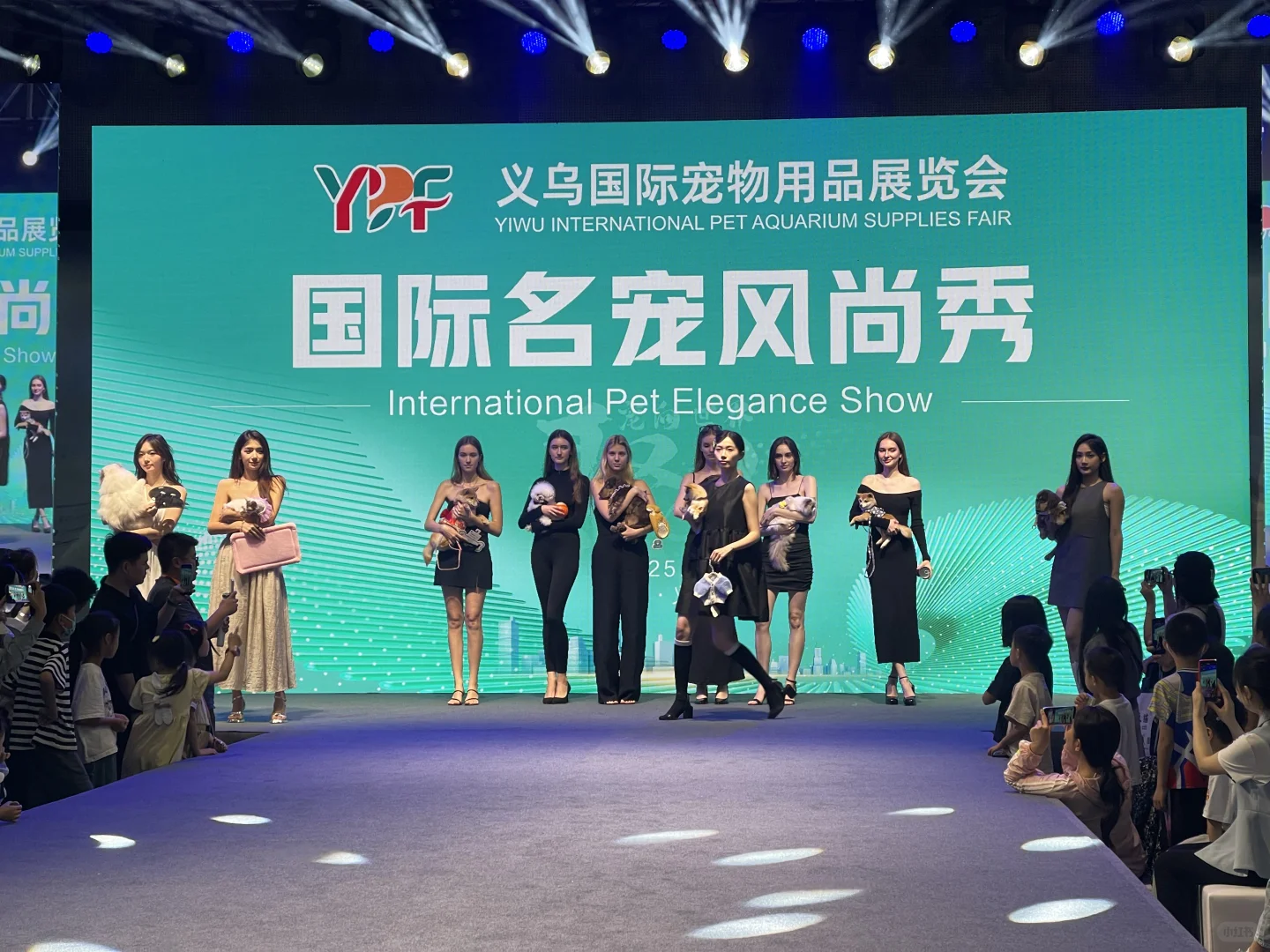 ?义乌国际宠物用品展大揭秘！萌宠盛宴or羊