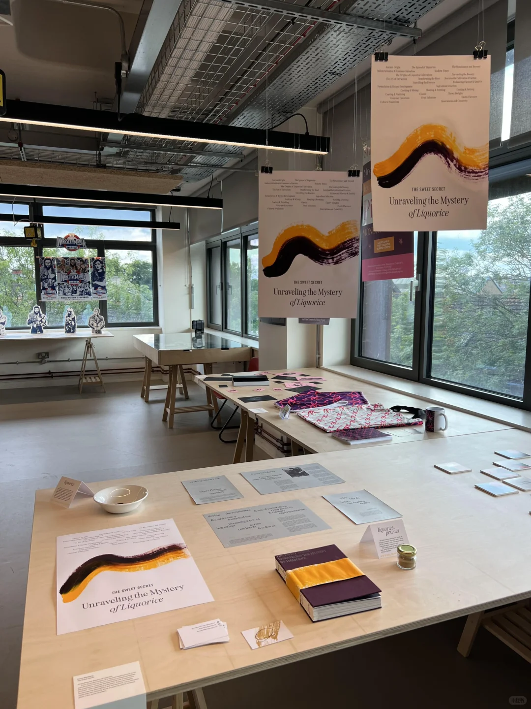 金斯顿本科毕业展平面专业的一些书籍细节