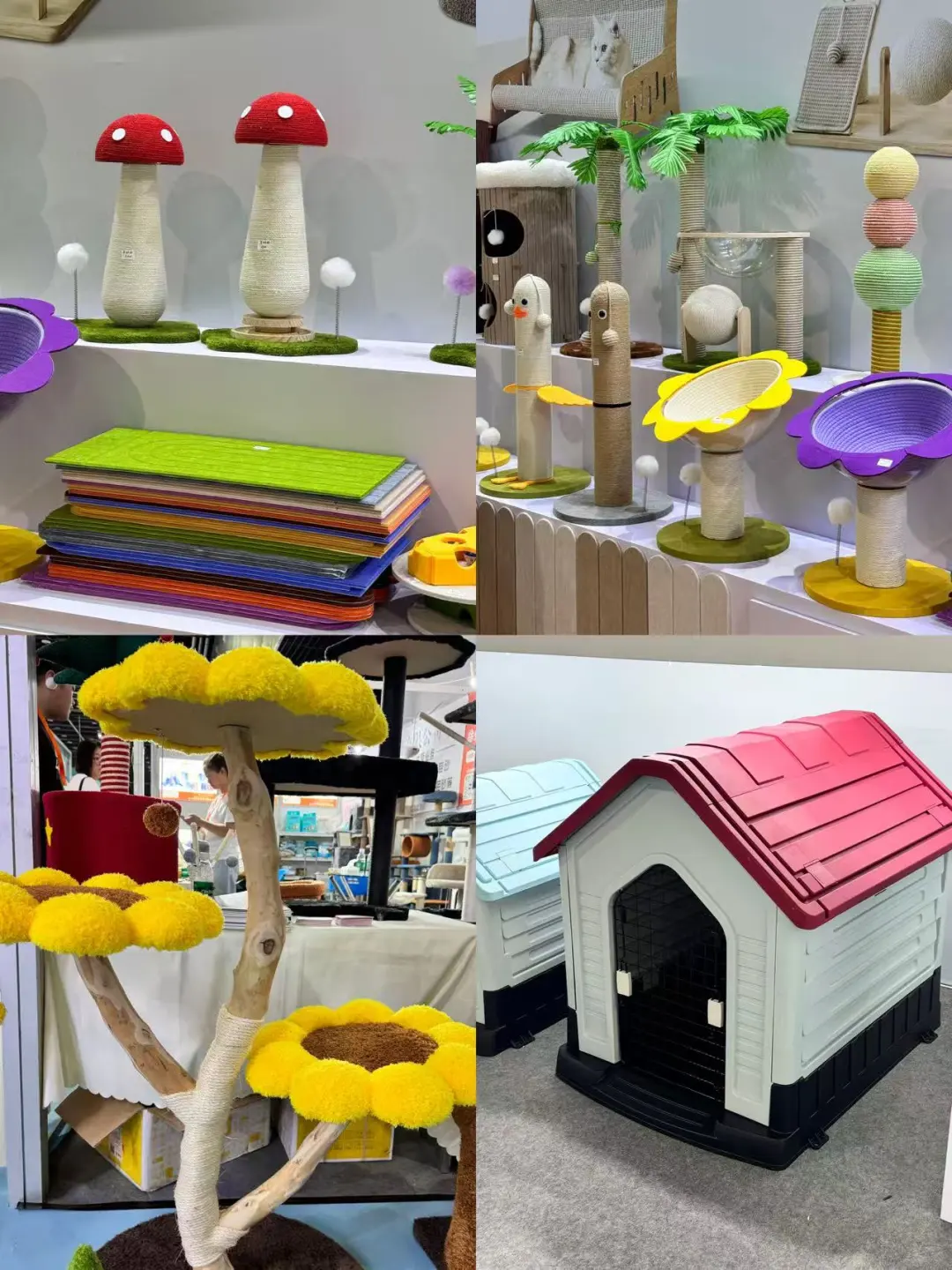 ?宠物展最后1天！萌力全开倒计时✨