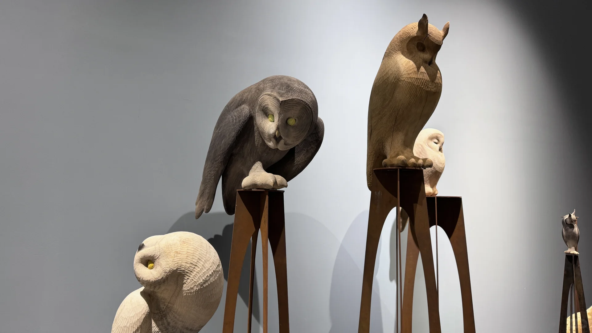 入选 2025 ·第二届写意画作品展啦✌️