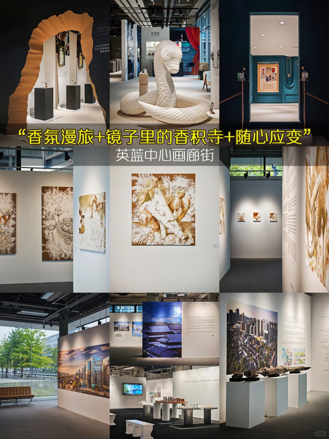 杭州11月免费展杀疯了❤️99个承包整月快乐