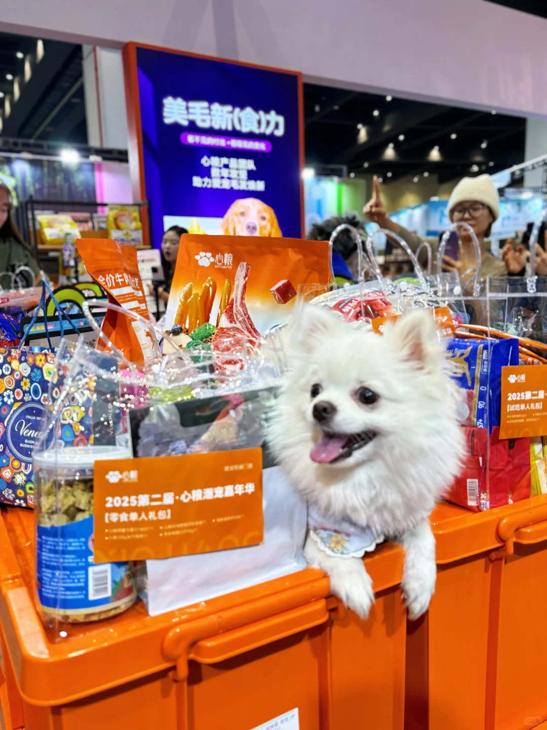 心粮真的这次太懂我们了！