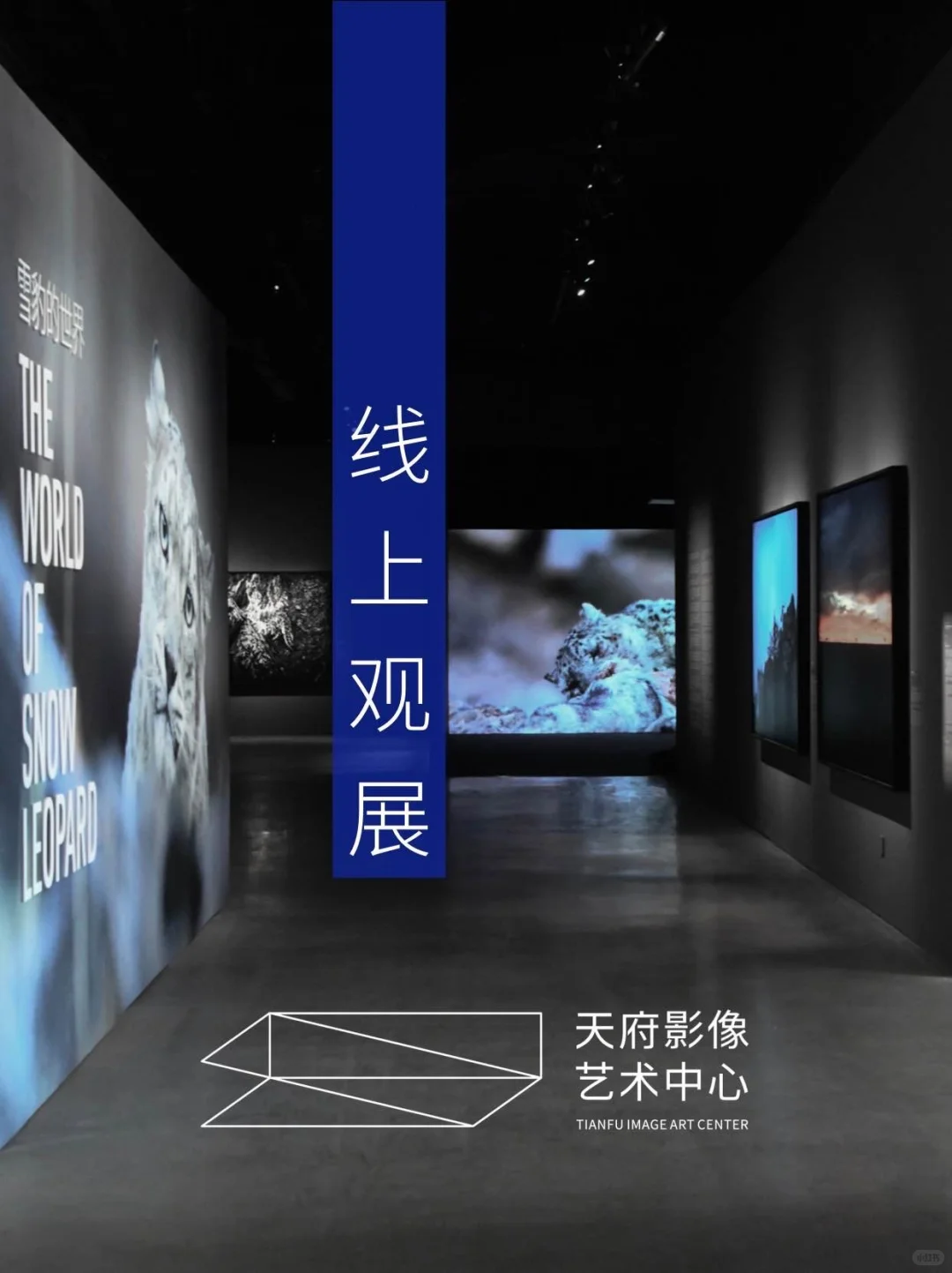 线上观展 | 在家也能“走进”天府影艺看展览