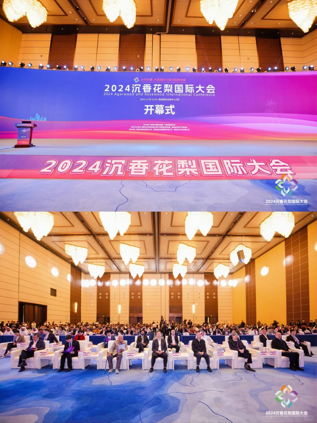 错过这届天香国色展，再等一年！！！