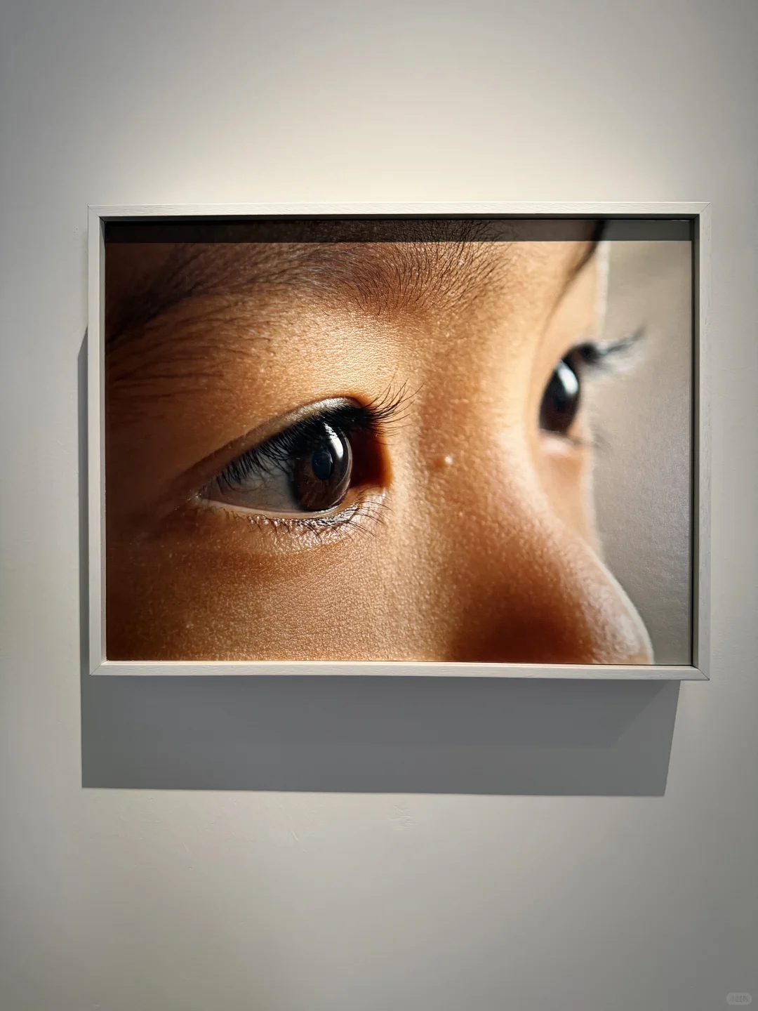 成都近期值得看的高品质摄影展。。。?