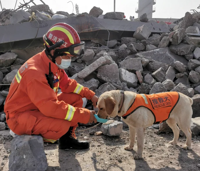 2025长三角苏州宠展倒计时7天⏳