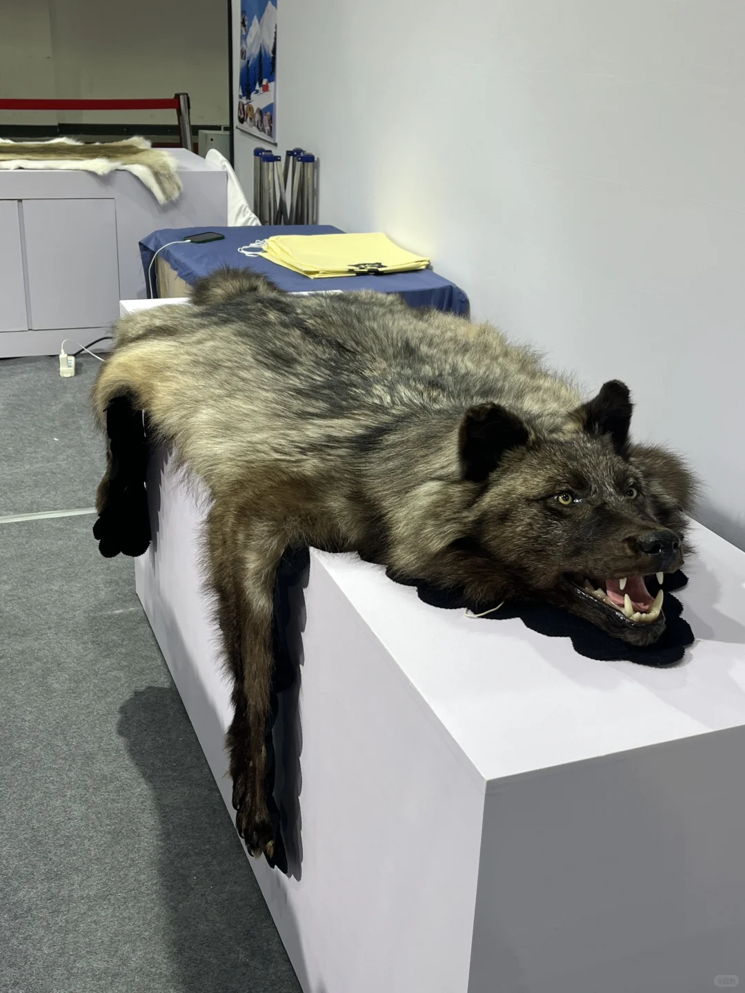 义乌进口展来啦～