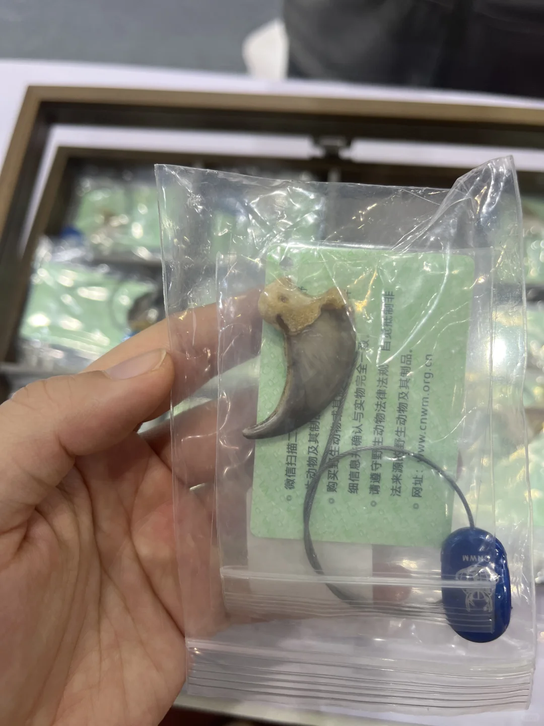 义乌进口展来啦～