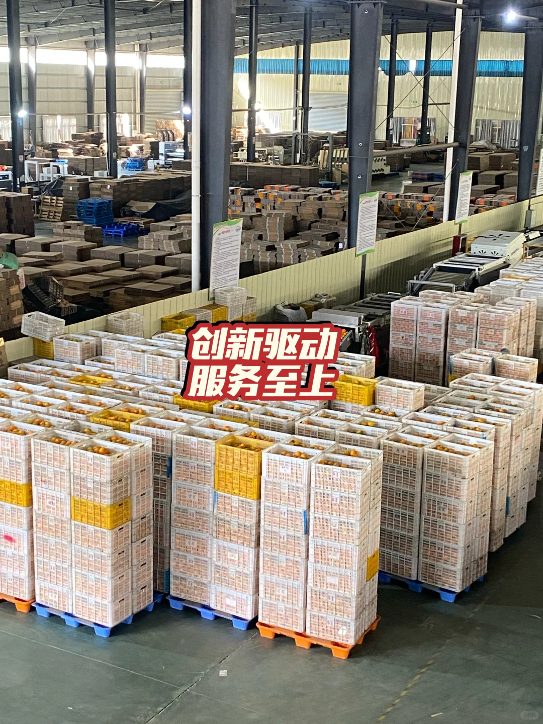 创新驱动｜服务至上