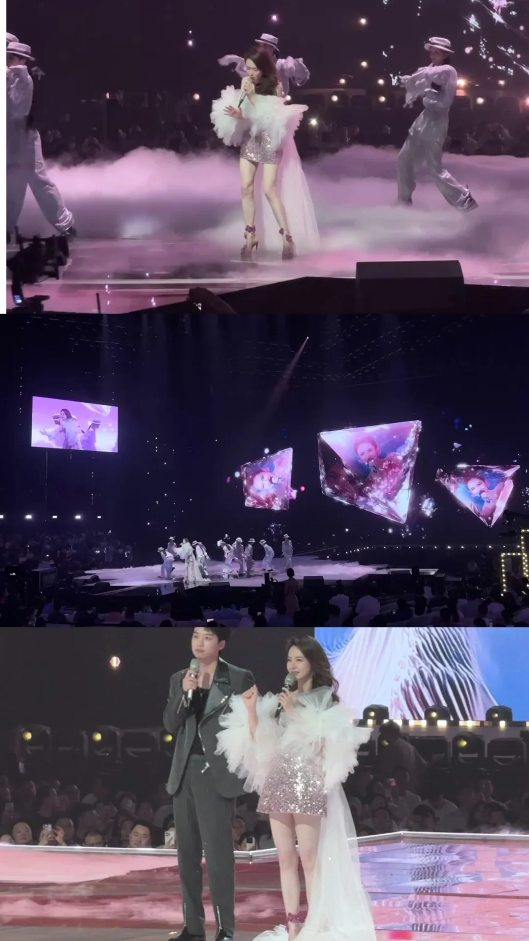 是谁看到了2025芒果?招商会