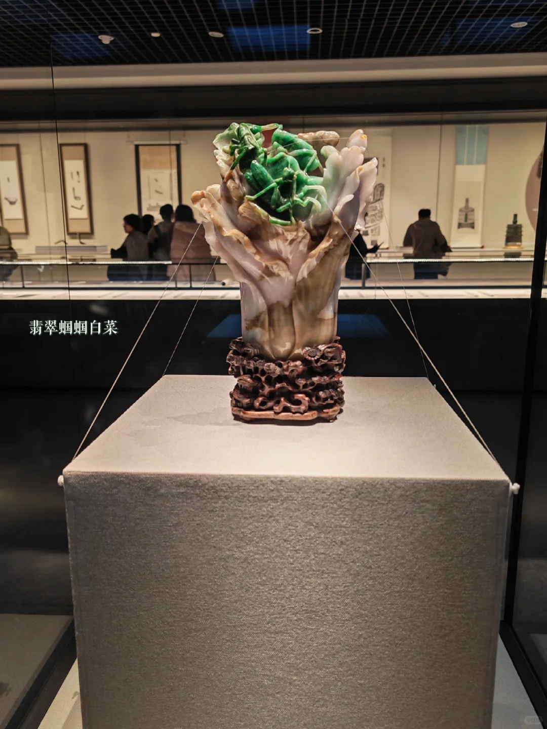 天津博物馆半日游，雅实在是雅