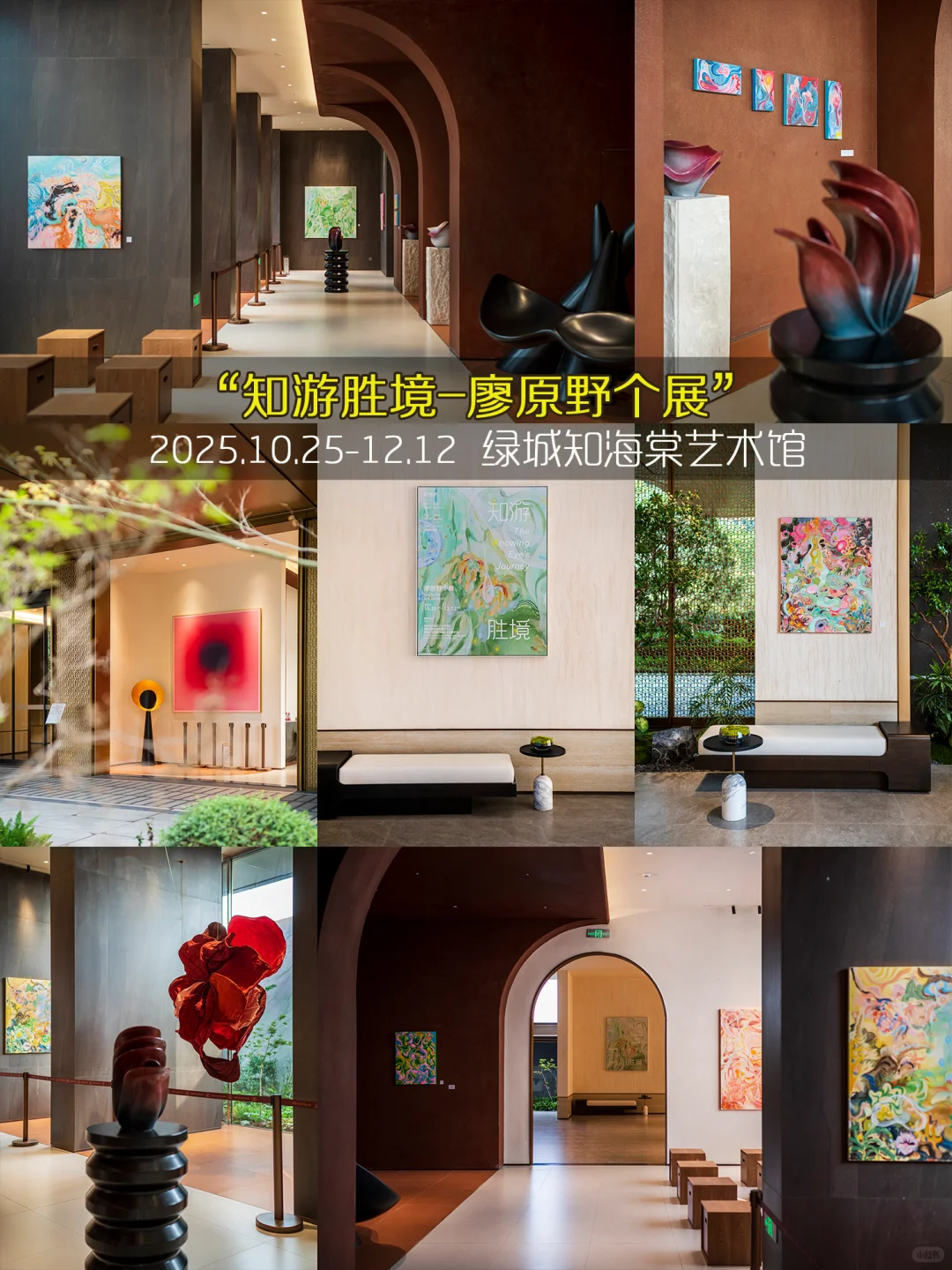 杭州11月免费展杀疯了❤️99个承包整月快乐