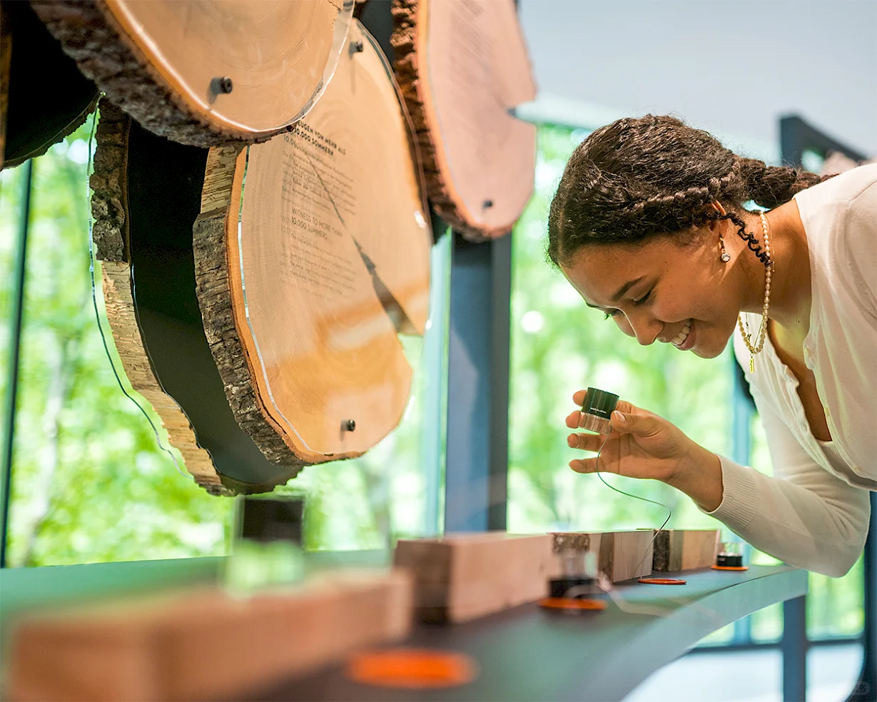 VIEW |STIHL品牌世界:叙事轴线串联品牌维度