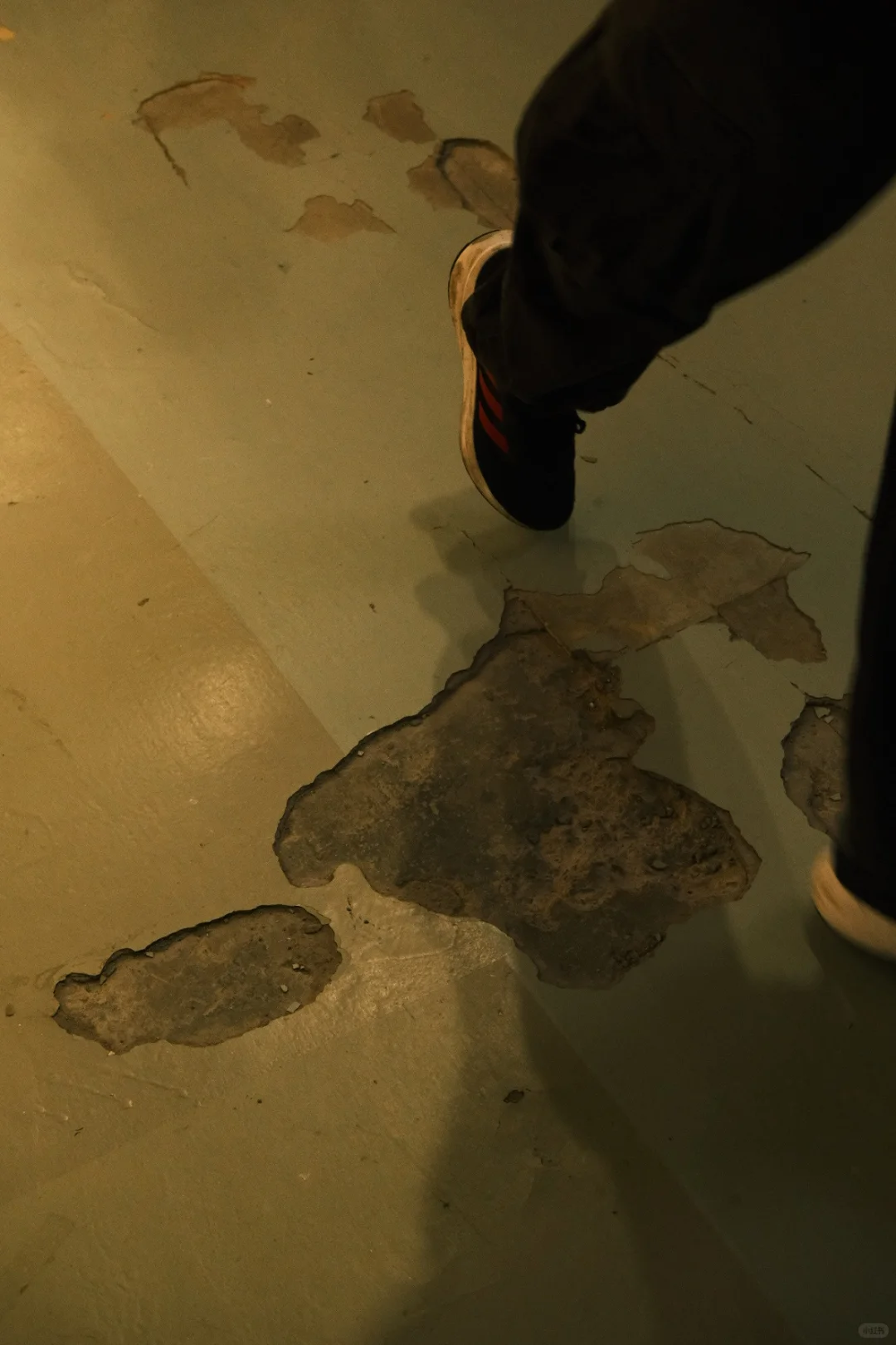 2025上海双年展：其实还是有些好看的