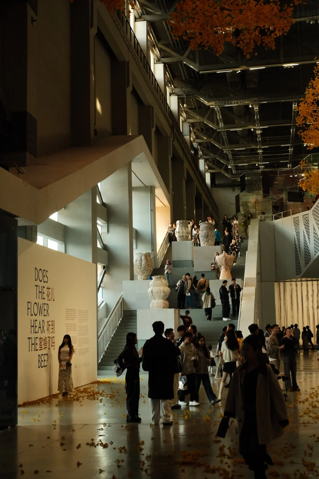 2025上海双年展：其实还是有些好看的