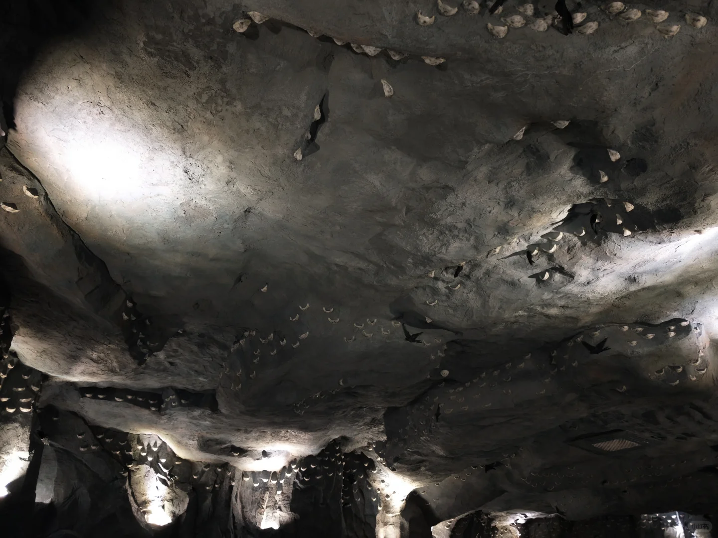 养生党必看！创喜燕窝，古方+科技双buff