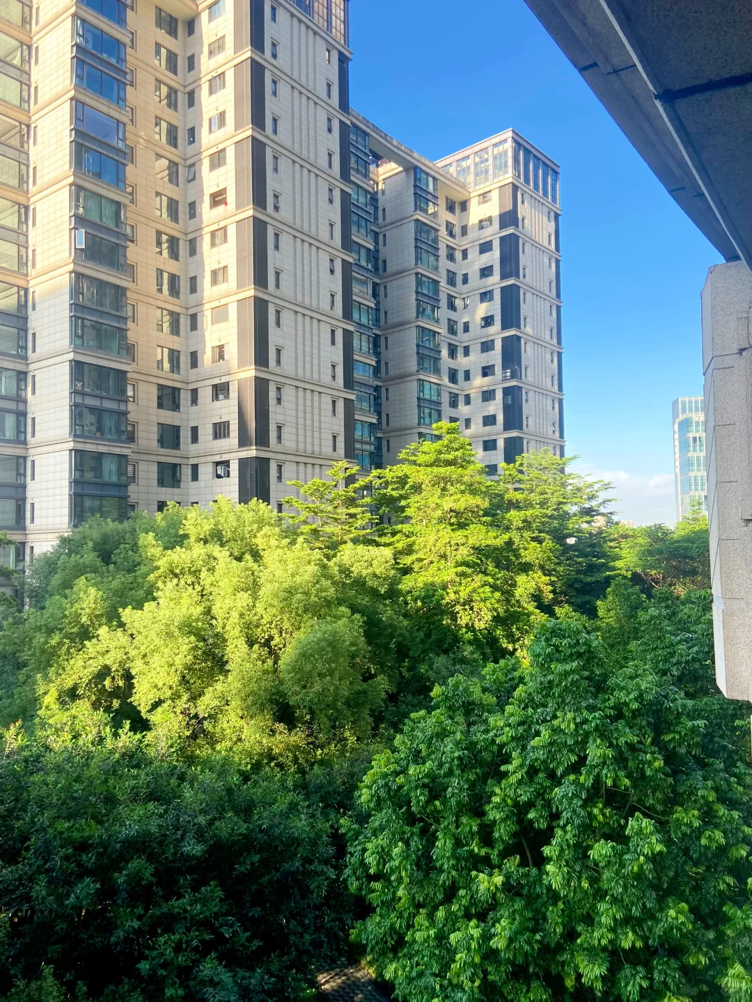 推窗见绿！保利天悦4居静谧大平层来啦