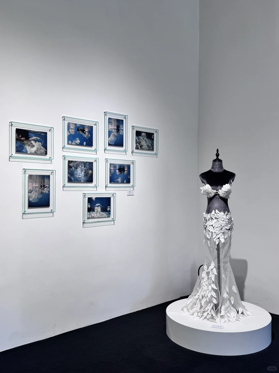 深圳新展｜纸艺创作的梦幻世界?直达（附机位