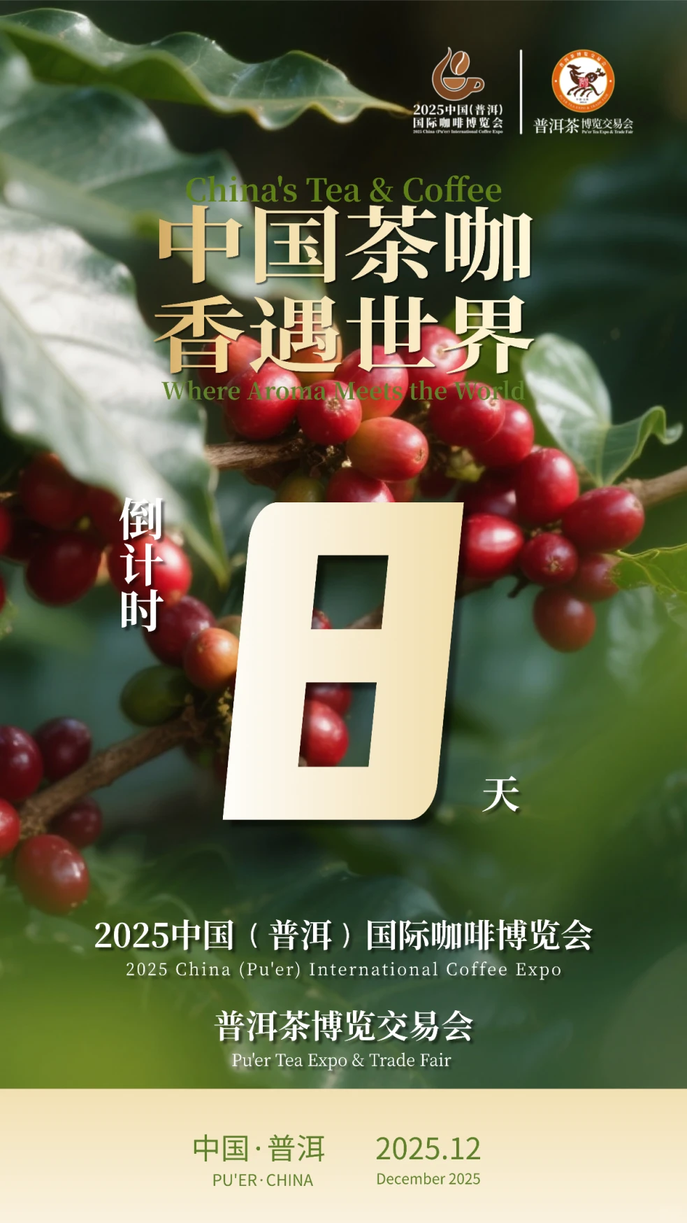 普洱|倒计时8天！220+咖茶名企将集结普洱