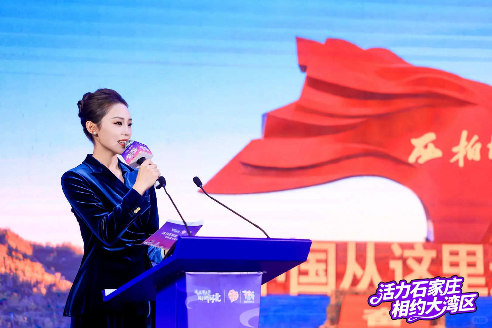 2025石家庄文旅推介会——深圳站?