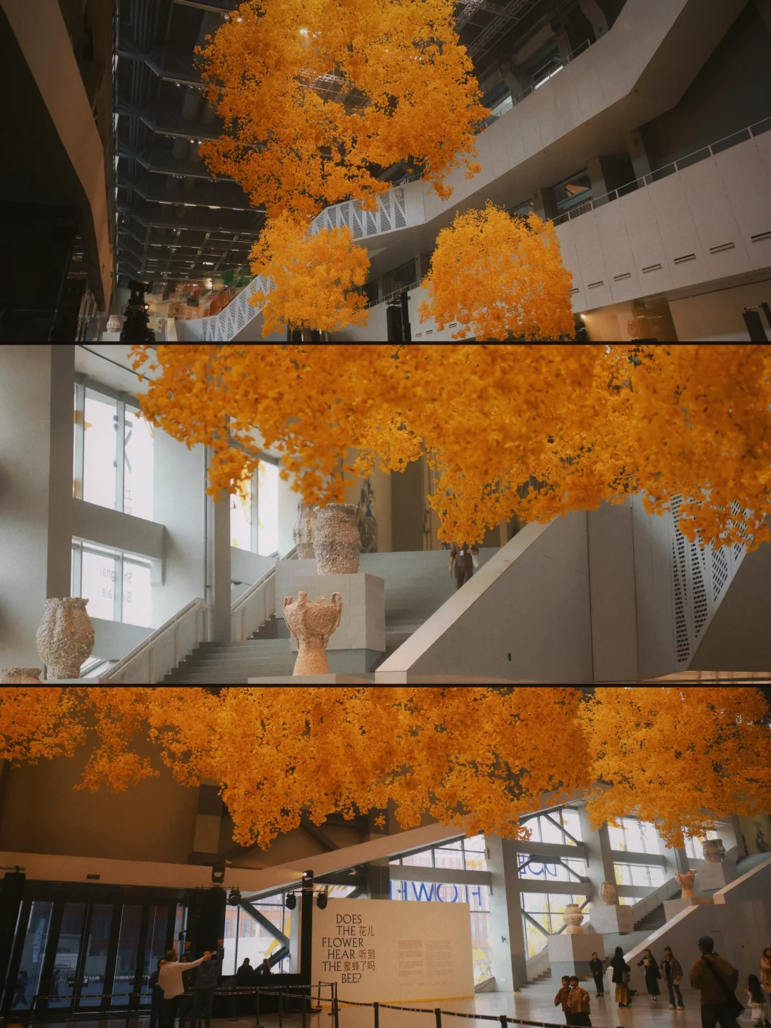 上海新展|年度必看的双年展超全逛展指南