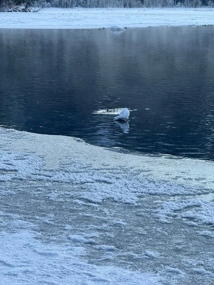 去新疆之前一定要进行大采购！！！！