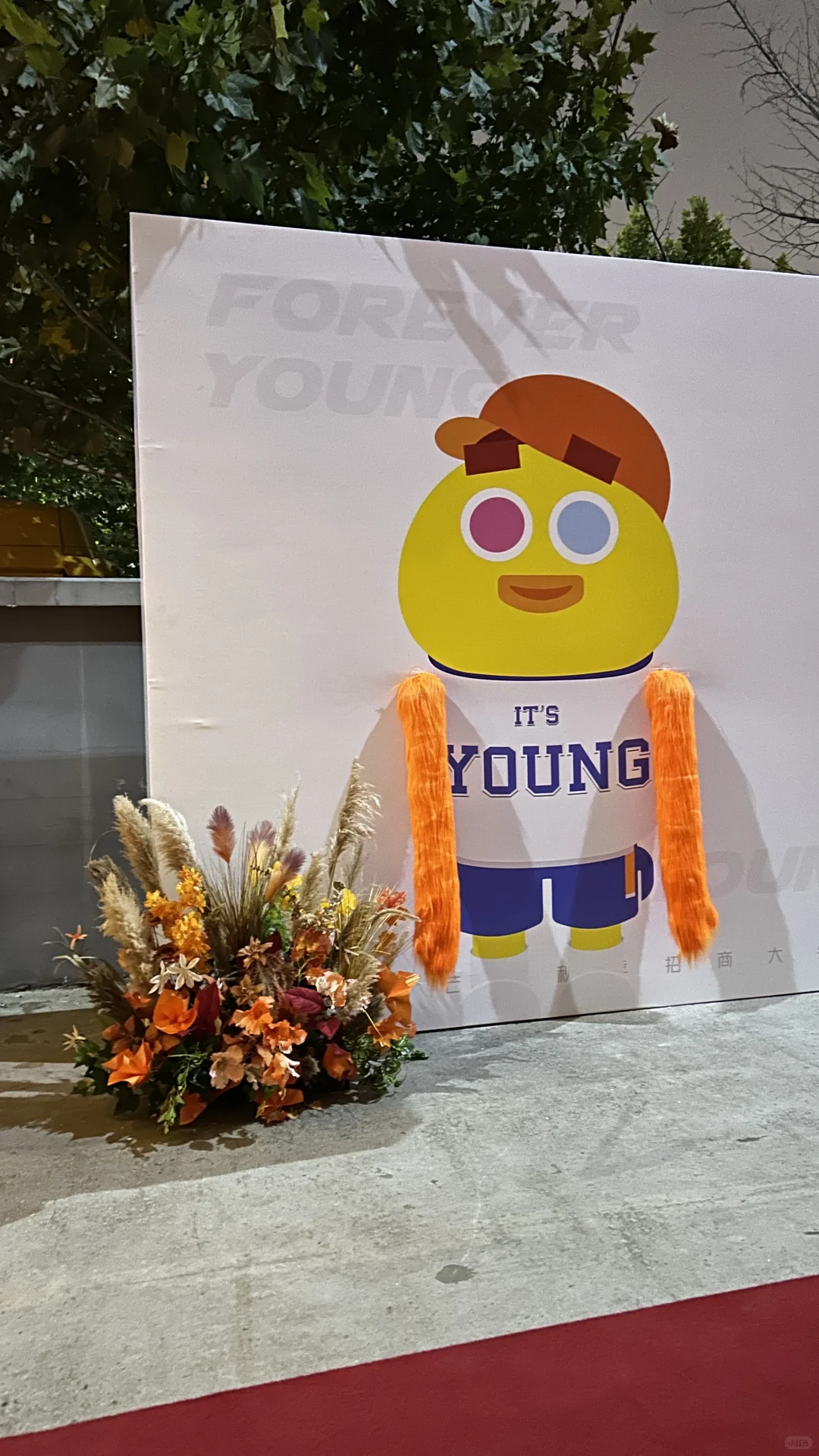 2025芒果秋季招商大会秋色芒果橙花艺布置