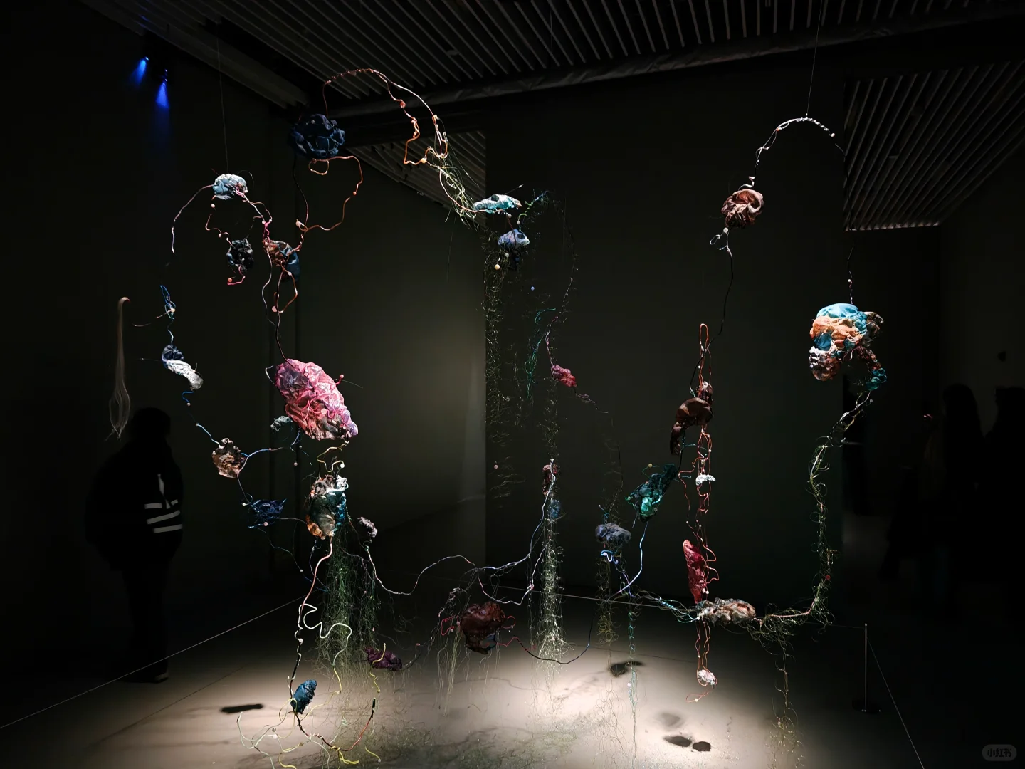 去双年展与同频的人共赴一场花开有声的约会