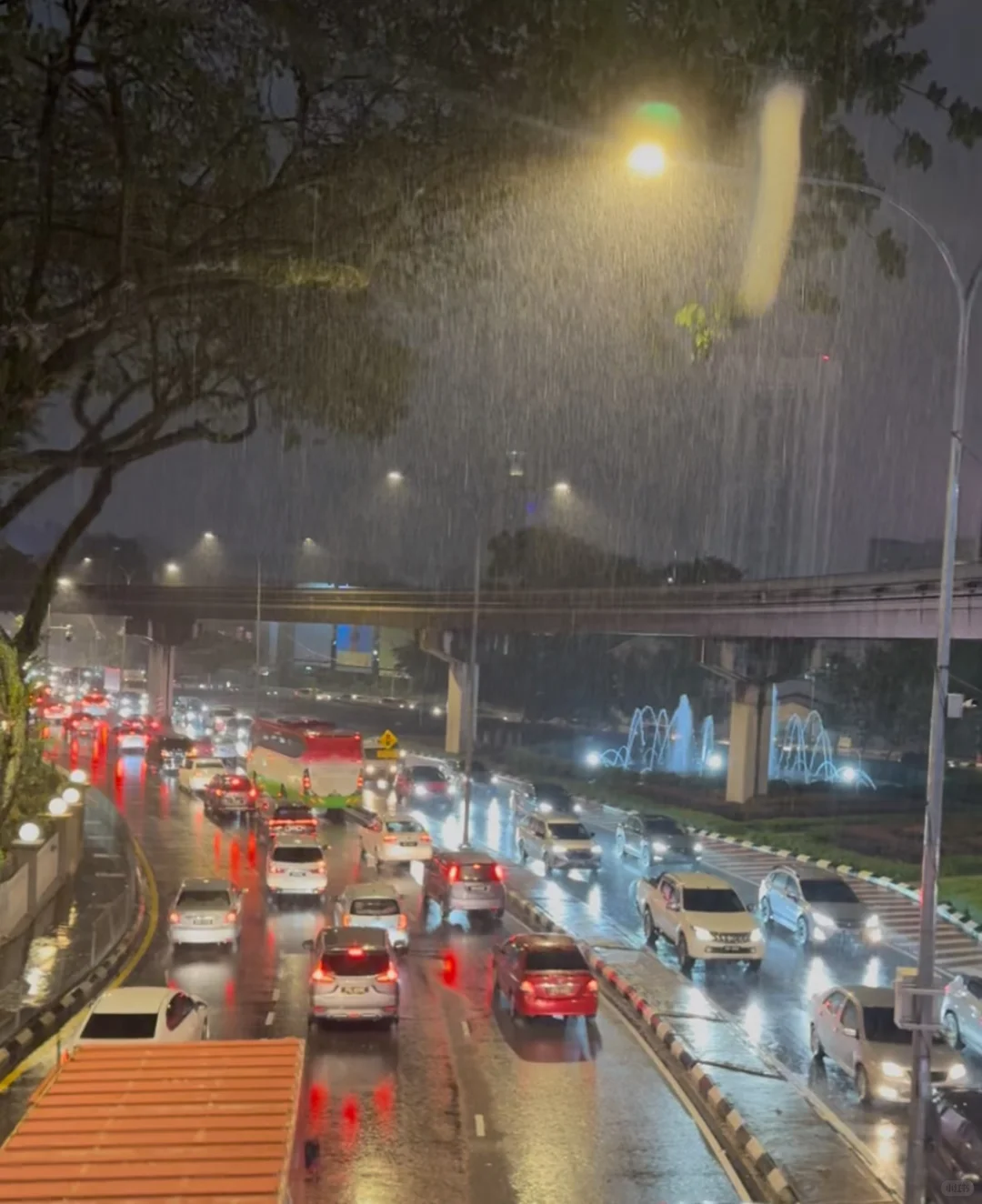 FEVER DOG｜吉隆坡布展日大暴雨?️