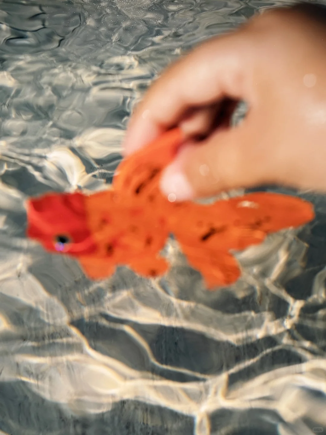 成都近期值得看的高品质摄影展。。。?