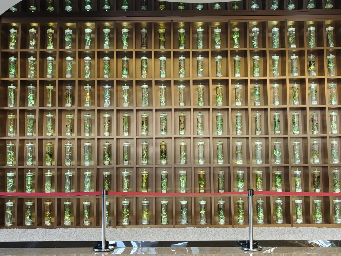 养生党必看！创喜燕窝，古方+科技双buff