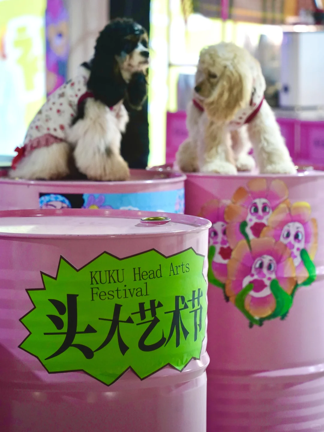 合肥的！！新来的展！！