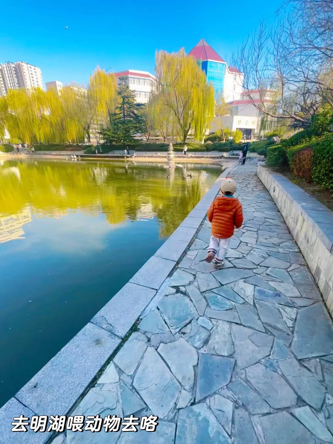 绝杀❗️无动力+大学食堂+火车展馆+喂动物