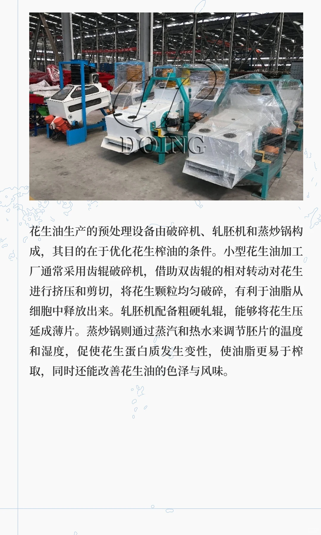 小型花生油加工厂预算有限也能选好设备