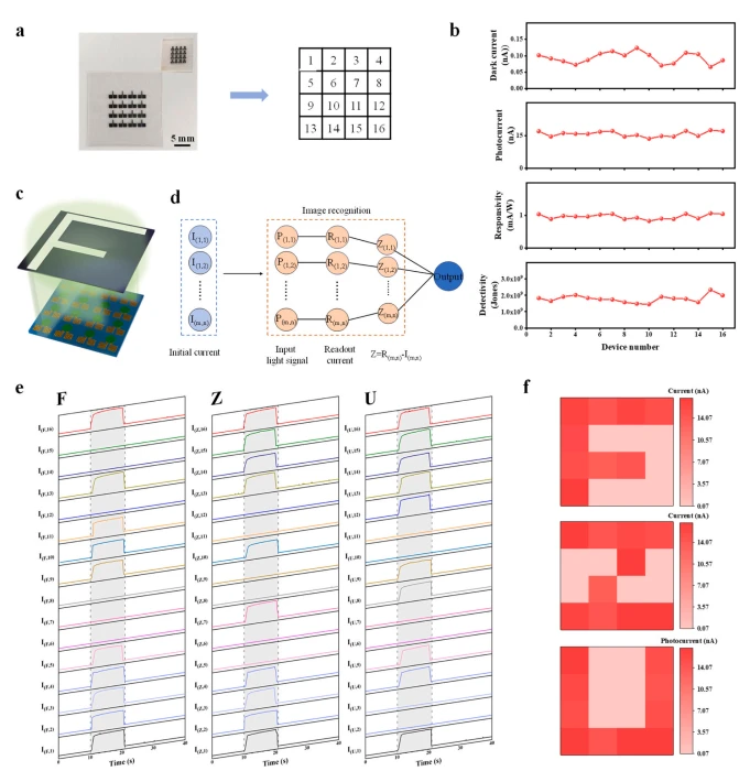 面向高集成成像的印刷二维WS2光电探测器