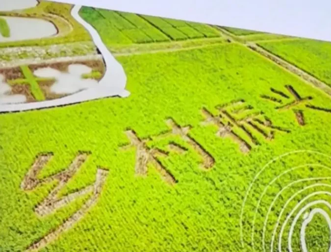 智慧南充振兴网：携手共进，绘就新画卷